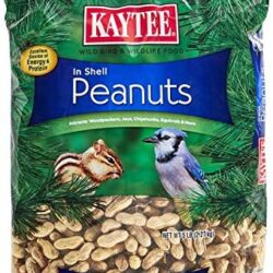 Kaytee Peanuts In Shell For Wild Birds, 5-Pound