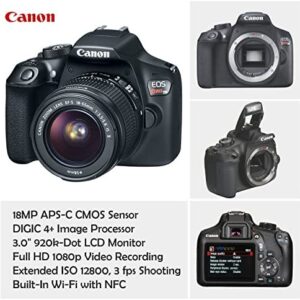 Canon EOS Rebel T6 DSLR Camera with 18-55mm is II Lens Bundle + Canon EF 75-300mm f/4-5.6 III Lens and 500mm Preset Lens + 32GB Memory + Filters + Monopod + Spider Tripod + Professional Bundle